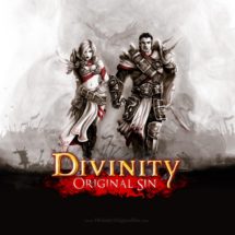 Journal de bord – Divinity : Original Sin