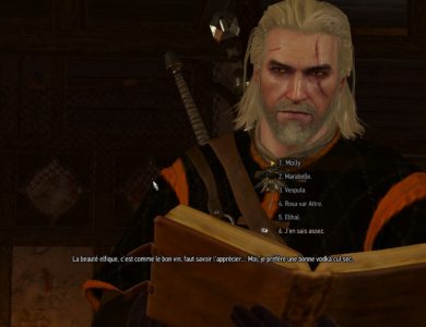The Witcher 3