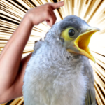 Illustration du profil de Manitek