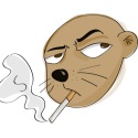 Illustration du profil de Toupilitou